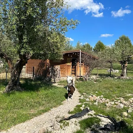 Camping Rural La Masia