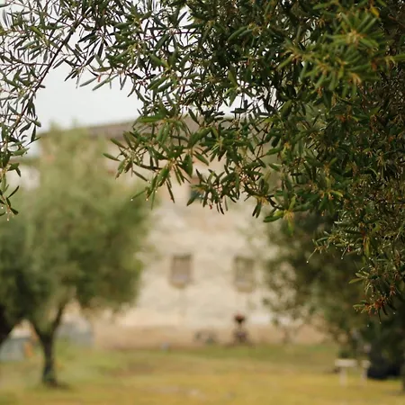 Hotel Camping Rural La Masia *