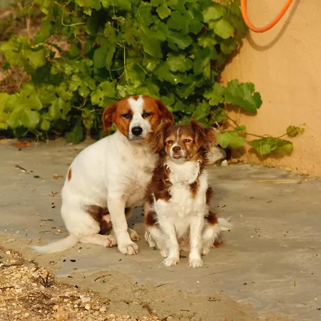 Camping Rural La Masia Hotel *