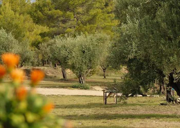 Camping Rural La Masia Hotel Cocentaina
