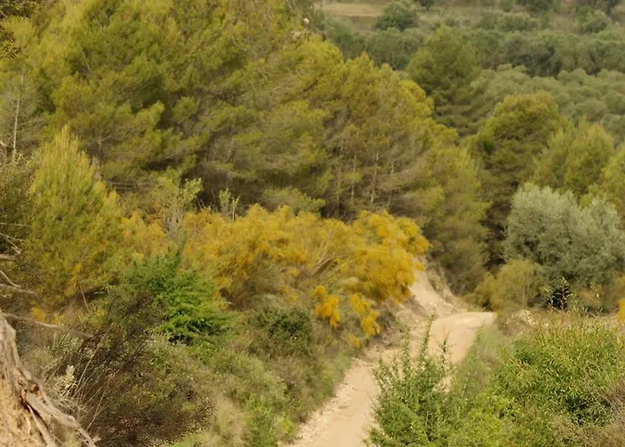 Camping Rural La Masia Cocentaina